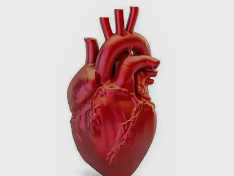 A cada 72 segundos, uma pessoa morre por doença cardiovascular no país