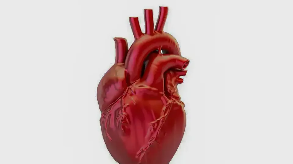 A cada 72 segundos, uma pessoa morre por doença cardiovascular no país
