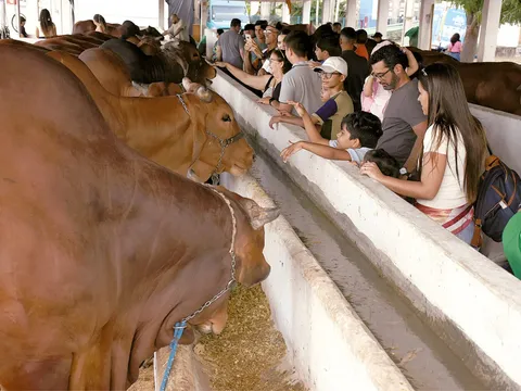Festa do Boi encerra 64ª edição e celebra resultados de 2026