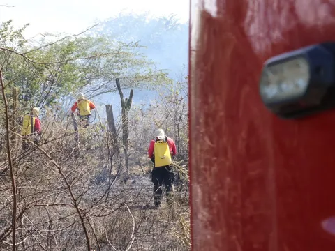 Incêndios em vegetação aumentam 21,4% no RN em 2026, aponta Corpo de Bombeiros