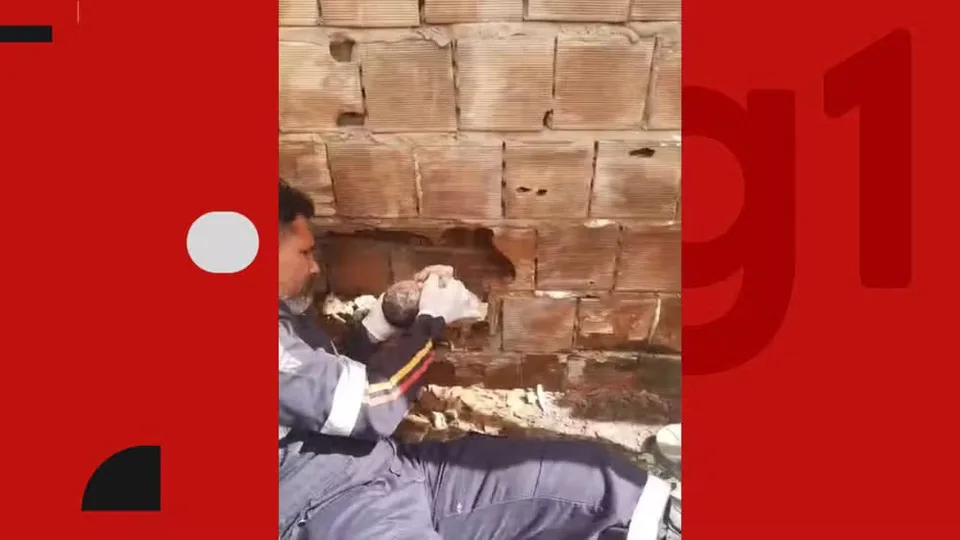Recém-nascido abandonado entre duas residências morre em hospital de João Pessoa