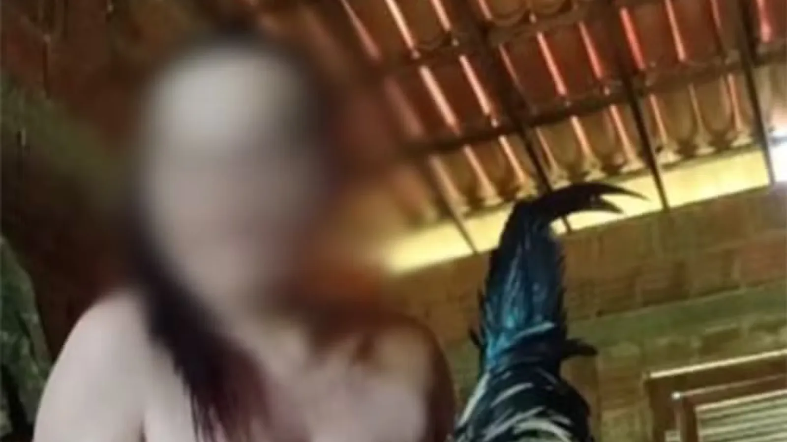 Mulher é investigada por suspeita de maus-tratos a animais no RN