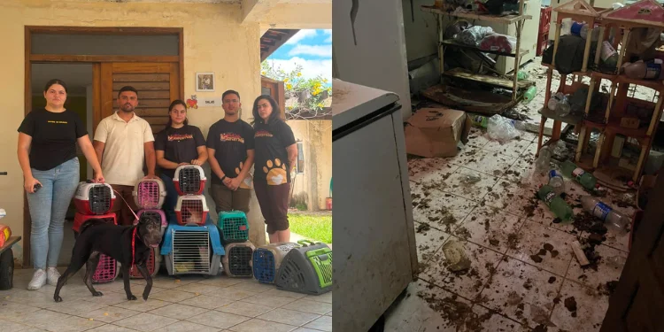 Operação resgata 25 cães mantidos em situação de maus-tratos em Mossoró