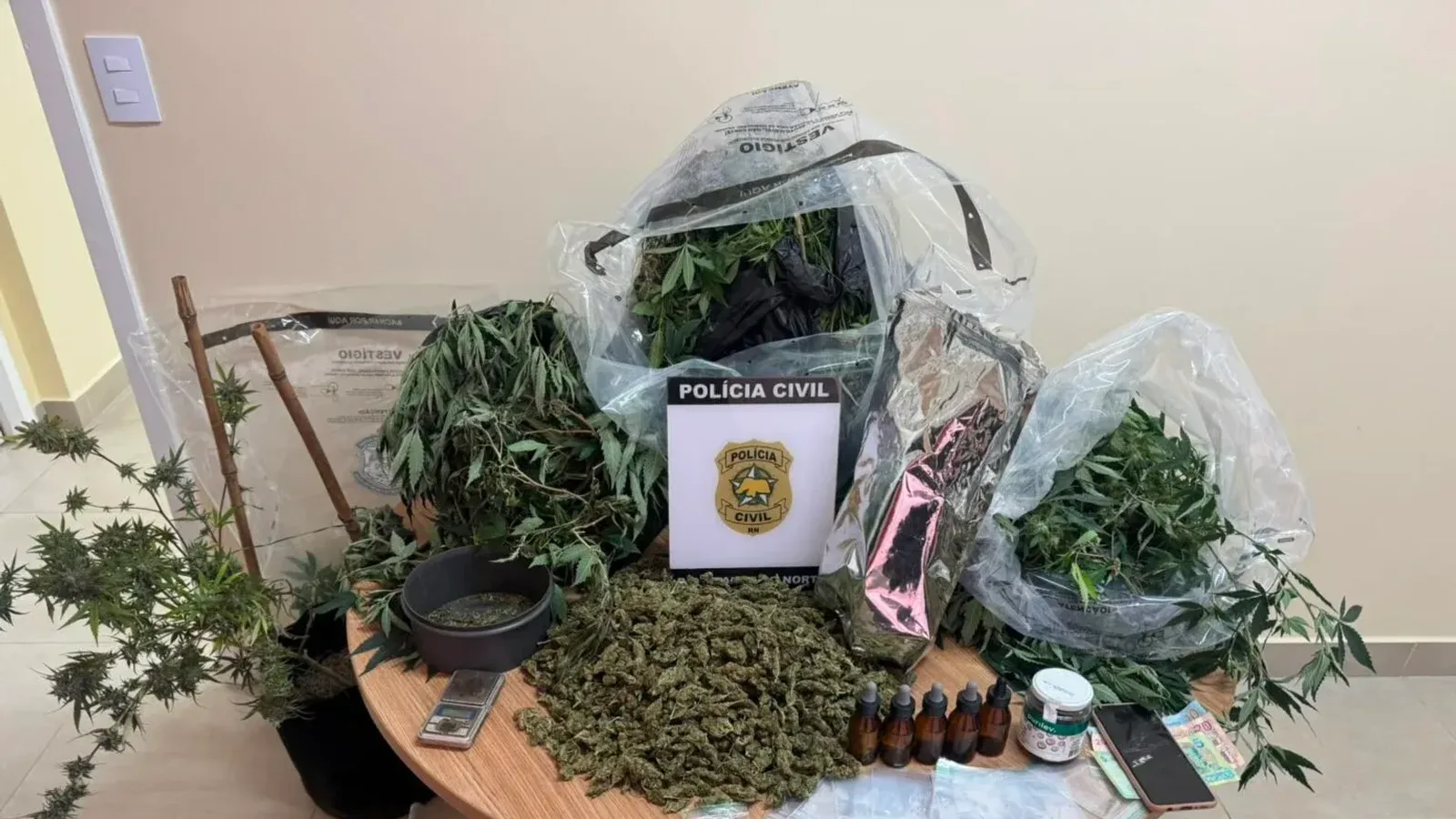 Polícia desmonta laboratório de ‘flores de maconha’ em Natal e prende traficante com potencial lucro de R$ 500 mil