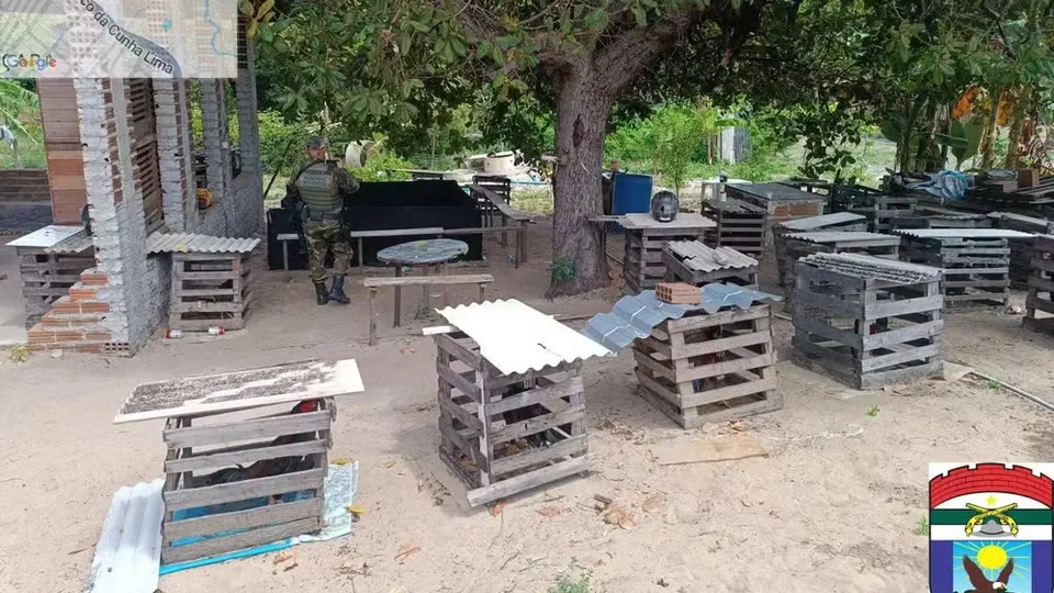 Local de rinha de galos é interditado e 27 aves são apreendidas na Zona Norte de Natal