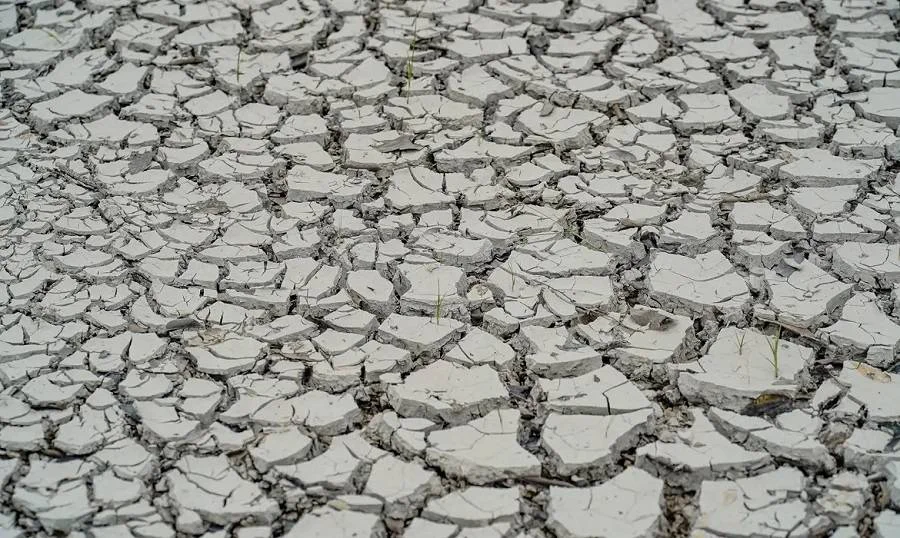 Governo decreta situação de emergência por seca em mais de 100 cidades do RN