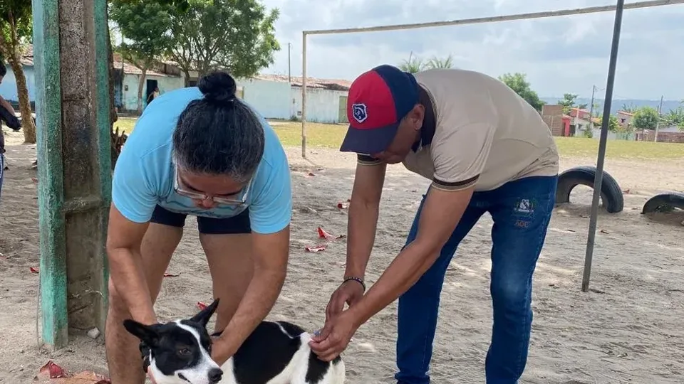 Este sábado (12) é Dia D de vacinação de cães e gatos em Macaíba