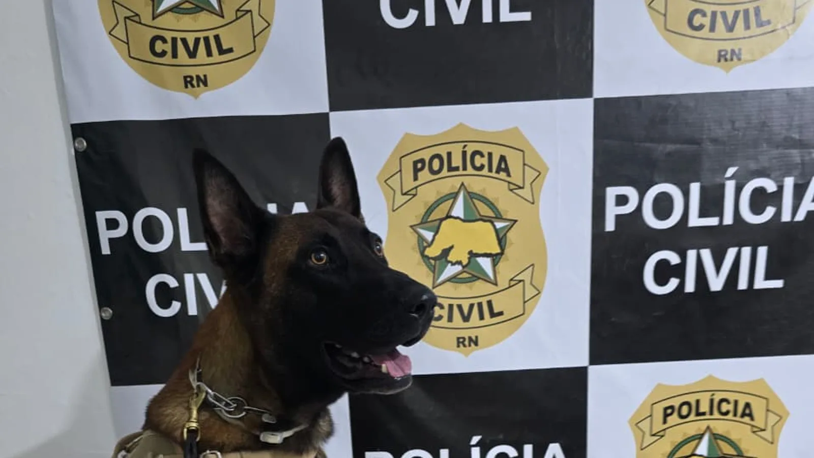 “Operação Liberdade”: Polícia Civil apreende adolescente por ato infracional análogo aos crimes de tráfico de drogas e posse irregular de munições na praia de Pipa