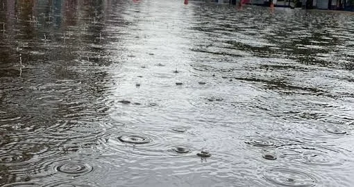 Macaíba registra 65,6 mm de chuva em 24 horas, aponta Emparn