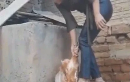 Após ação do MPRN, suspeita de maus-tratos contra animais é presa em Marcelino Vieira