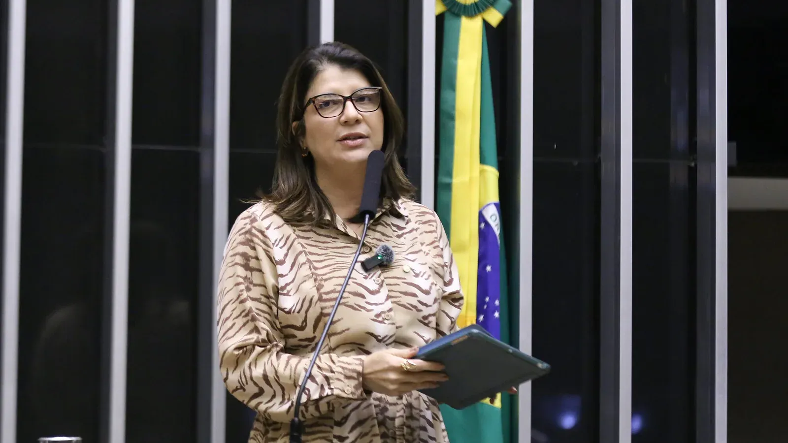 A deputada federal Carla Dickson discursa na tribuna da Câmara dos Deputados