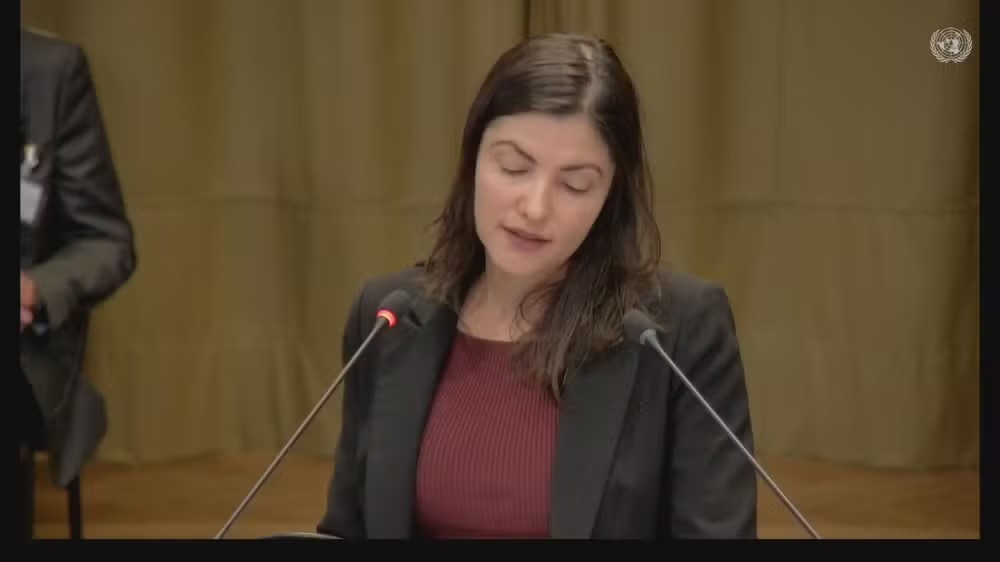 Brasil pede que Corte declare ilegal ocupa&ccedil;&atilde;o de Israel na Palestina -  Portal de Not&iacute;cias Senadinho